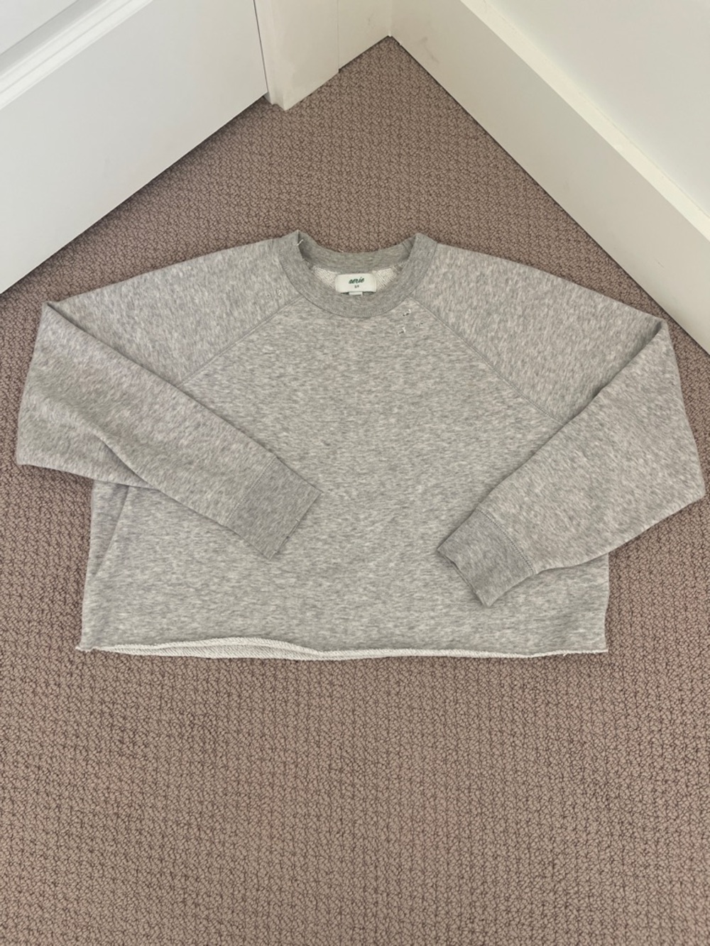 aerie Gray Cropped Crewneck Sweatshirt